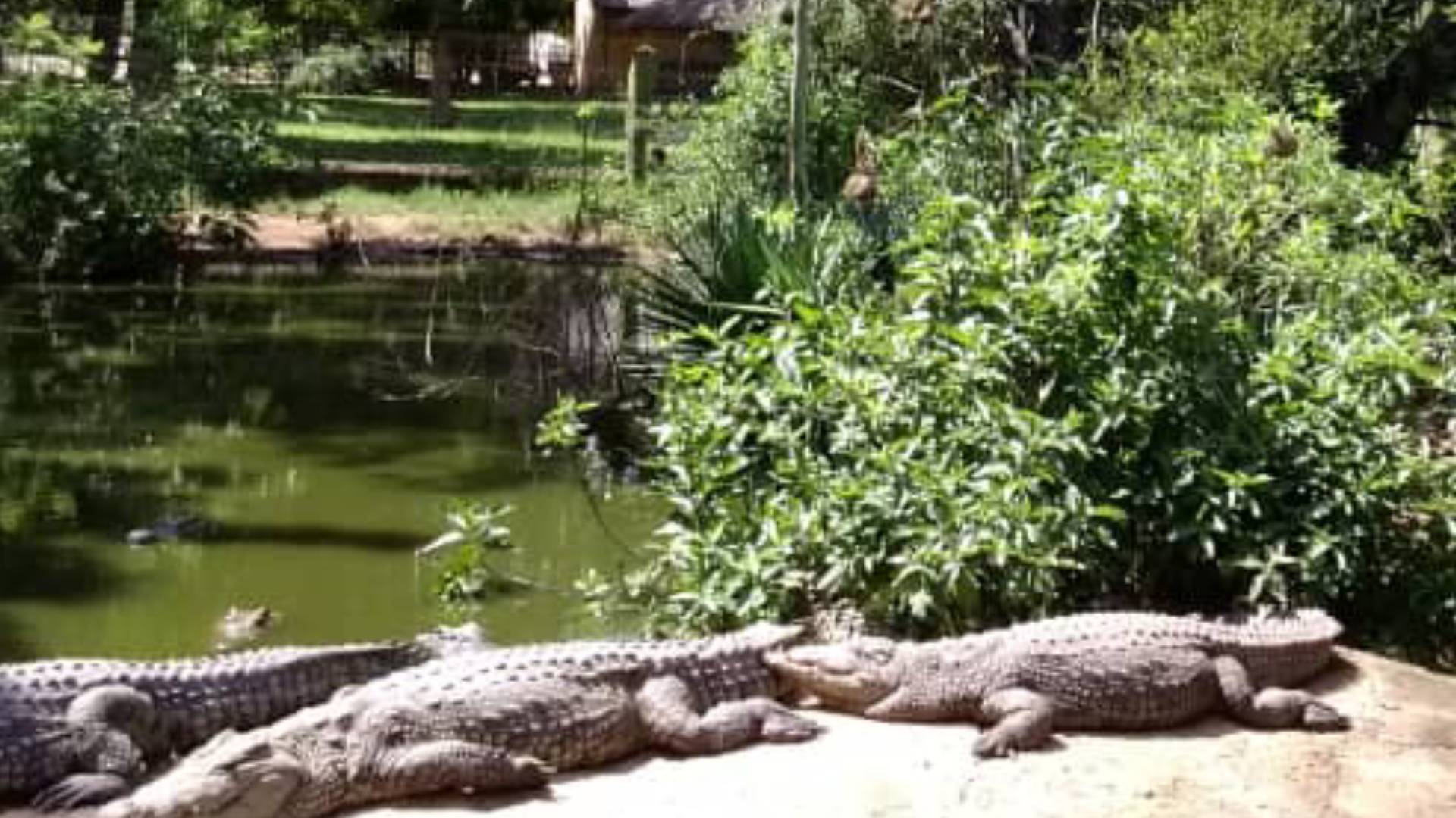 family falls explorer